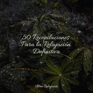 Relajación En La Playa