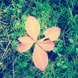 Spanish Numbers 1-20