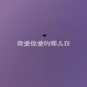 我爱你爱的那么狂