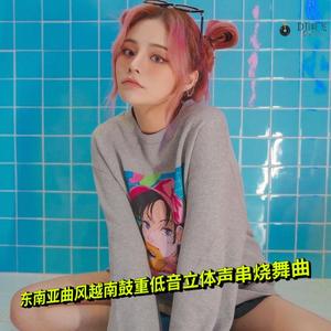 DJ国飞-东南亚曲风越南鼓重低音立体声串烧舞曲（DJ国飞 remix）