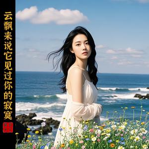 云飘来说它见过你的寂寞