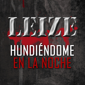 Hundiéndome en la Noche