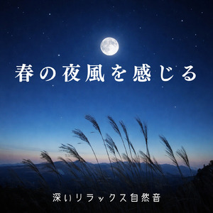 寝る前に聴く睡眠導入自然音 穏やかな夜へ溶け込むヒーリングサウンド