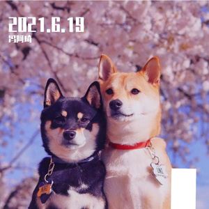 多想在平庸的生活拥抱你（翻自隔壁老樊）