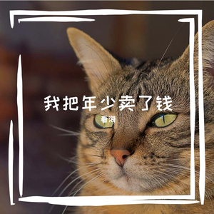 我把年少卖了钱