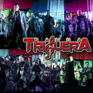 Comprendelo (En Vivo)