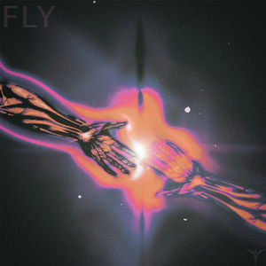 FLY