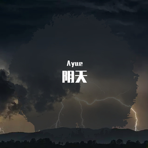 阴天(Overcast)