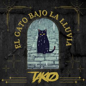 El Gato Bajo La Lluvia