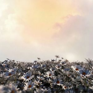 19plus1（TWENTY）(Prod by Fai)