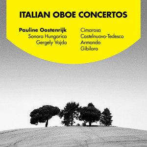Concerto in C Minor for Oboe and Strings: I. Introduzione: Larghetto
