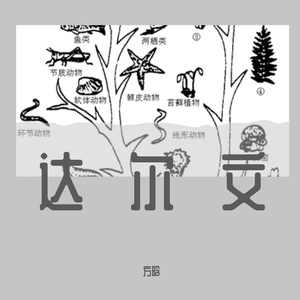 达尔文_西赴、(1)