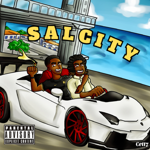 Salcity