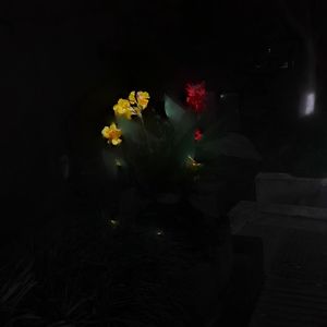 压力（pressure）