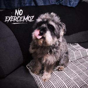 El título de esta canción es innecesariamente largo para decirte lo mucho que siento por ti