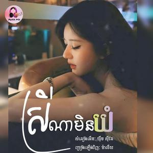 ស្រីណាមិនយំ (បងចាំបានទេកាលមាសមេសុំស្នេហ៍ពីអូន..)