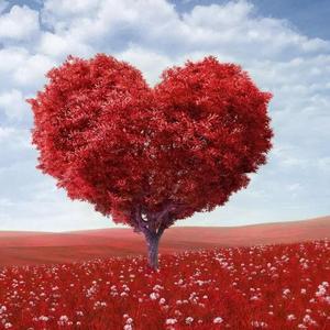 和平(prod by Red Killer)