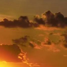 明天我在何处天涯