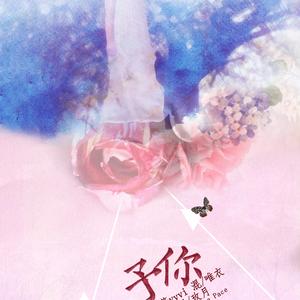 可惜我不敢爱你（Cover 悬落）