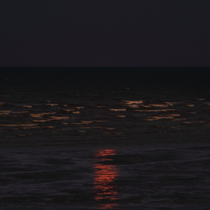 希望你被这个世界爱着