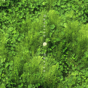 リバース・リバイス