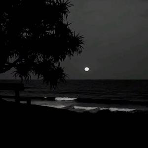 父辈爱情freestyle