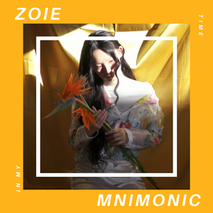 在我有限的时间