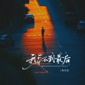 我爱不到最后 (DJ阿尼版)
