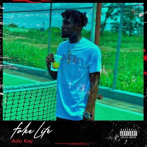 Fake Life