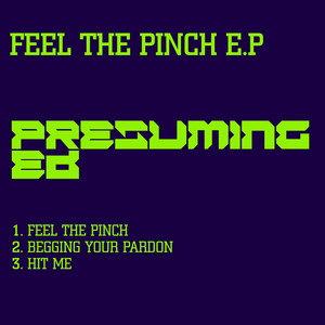 Begging Your Pardon (Original Mix)