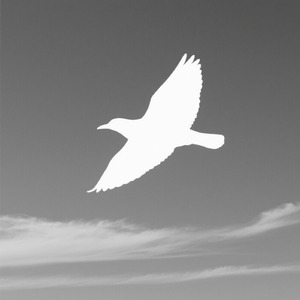 風がほしかった。