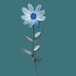 花瓣