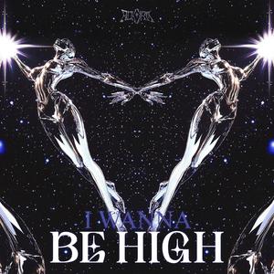I Wanna Be High