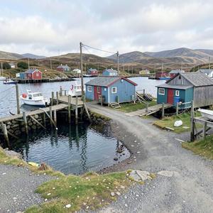 I am Newfoundland