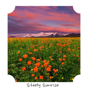 Upright Bass And Drums