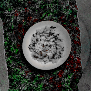 не (Prod. by vo1ces)