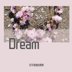 如果爱忘了（戚薇 Cover）