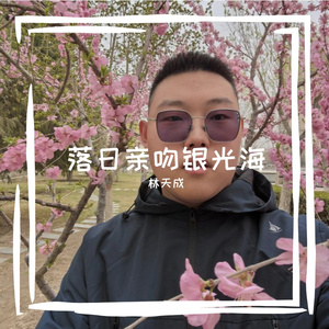 落日亲吻银光海