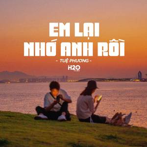 Em Lại Nhớ Anh Rồi (Lofi Ver.)