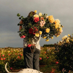 我终于告别了爱情（节奏DJ）