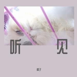 听见