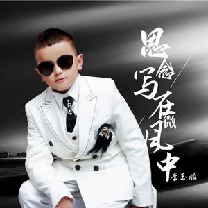 思念写在微风中