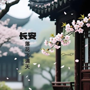 长安落花飞满天