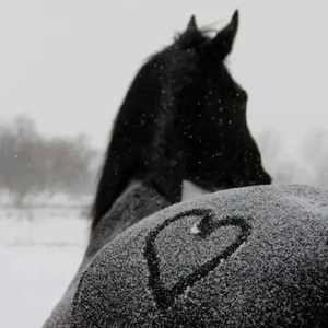 Invincible战无不胜