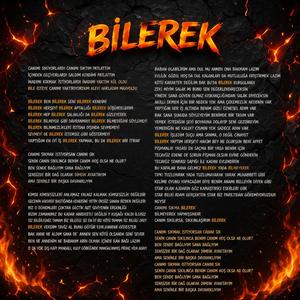 bilerek