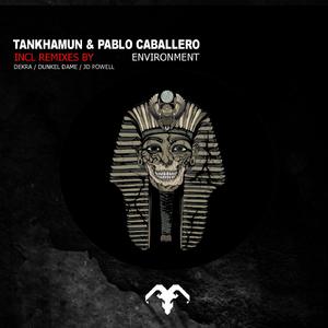 Enviroment (Dekra remix)