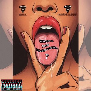 Marvellous/Sona - What's Your Password?