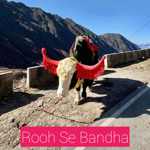 Rooh Se Bandha