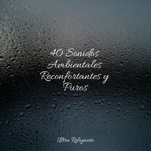 Ruiseñor