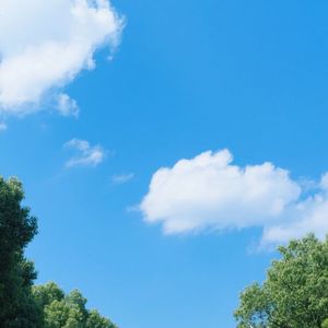 余晖轻洒旧巷暖